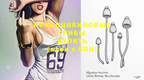 не бодяженный Нягань