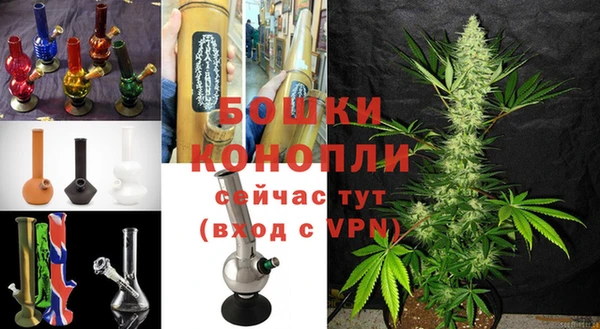 ГАЛЛЮЦИНОГЕННЫЕ ГРИБЫ Дегтярск