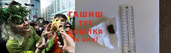 шишки Новозыбков