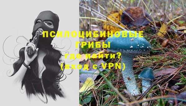 мдпв Няндома