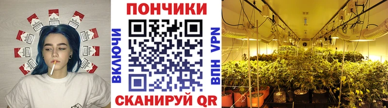 цена   Калязин  МАРИХУАНА Ganja 
